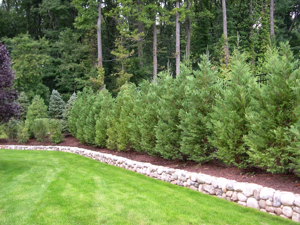 Best Landscaping Privacy Shrubs New Decorating Ideas